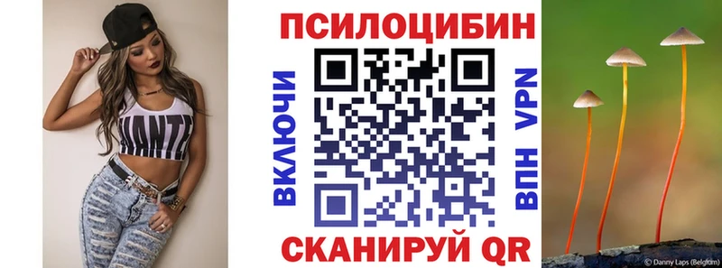 Галлюциногенные грибы Psilocybine cubensis Таштагол