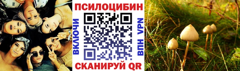 Псилоцибиновые грибы GOLDEN TEACHER Таштагол